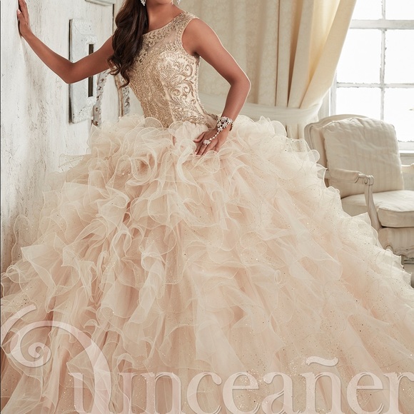 Quincenera Dress - Picture 1 of 8